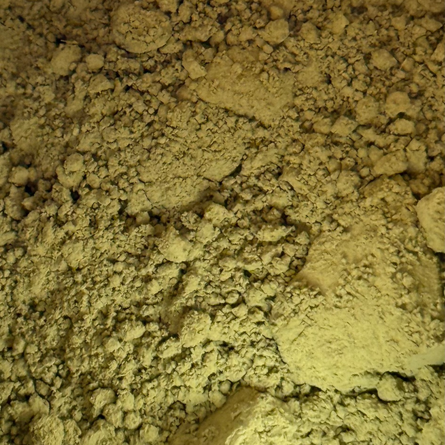 First Harvest Hojicha Powder (100g)