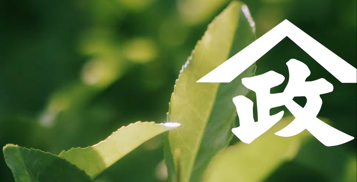Load video: A  behind-the-scenes look at the Yamamasa Koyamaen production process.